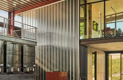 Fulldraw Vineyard | Clayton Korte
