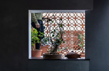 Minimum, the 2 cent home | Nestcraft Architecture