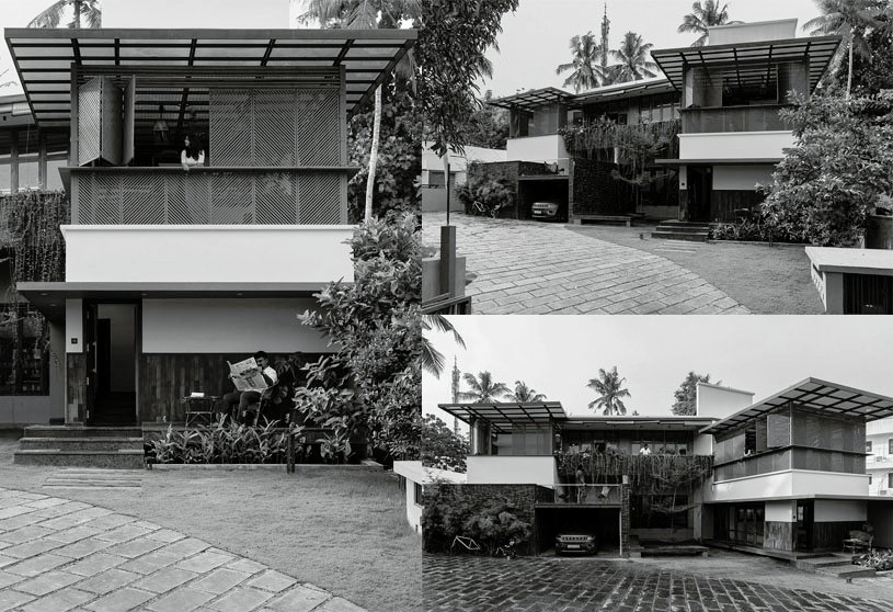 Urbane Ivy