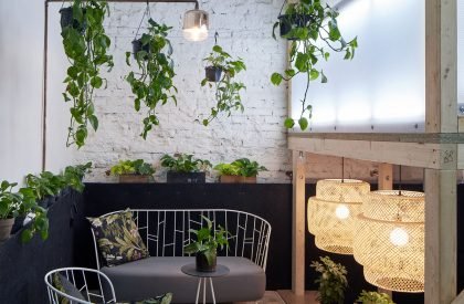 The Distillery - Social Reactor | KOGAA