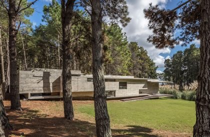 Forest House | Besonias Almeida arquitectos