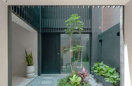 The Veil House | Paperfarm Inc