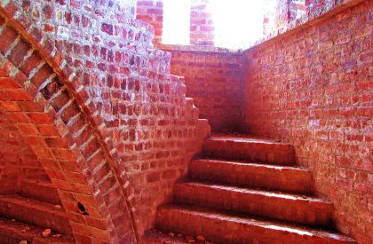 Wild Echo | Architect Mahesh Naik