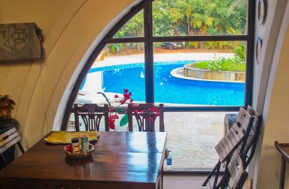 Wild Echo | Architect Mahesh Naik