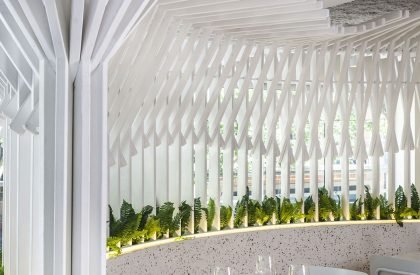 Benedetta | Hitzig Militello Arquitectos