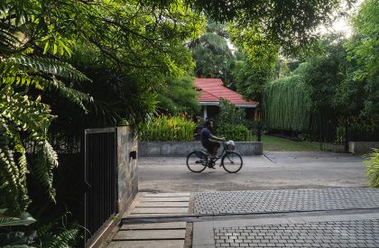 CNS Office | Studio Avocado