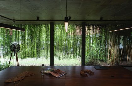 CNS Office | Studio Avocado