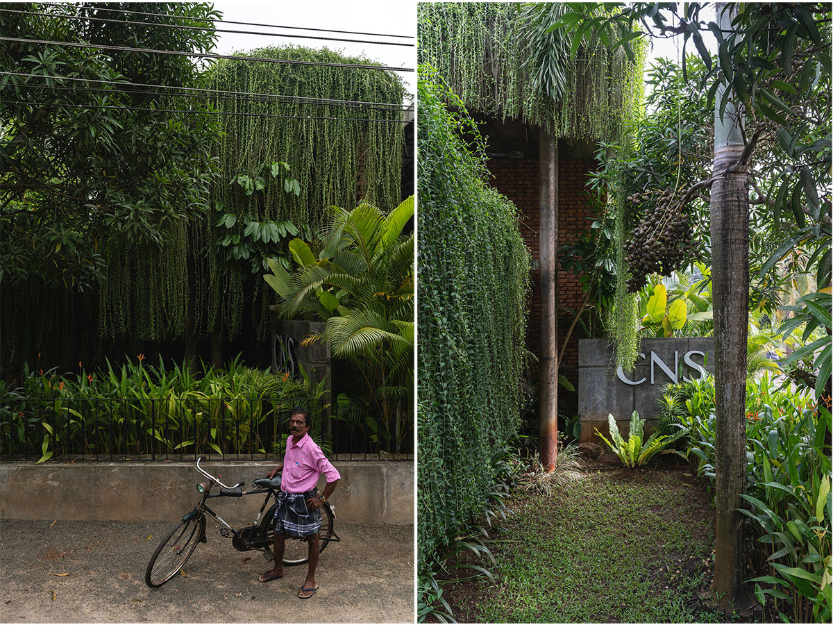 CNS Office | Studio Avocado