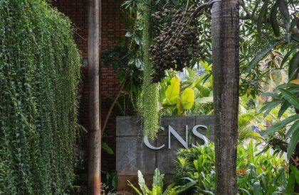 CNS Office | Studio Avocado