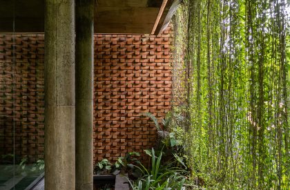 CNS Office | Studio Avocado