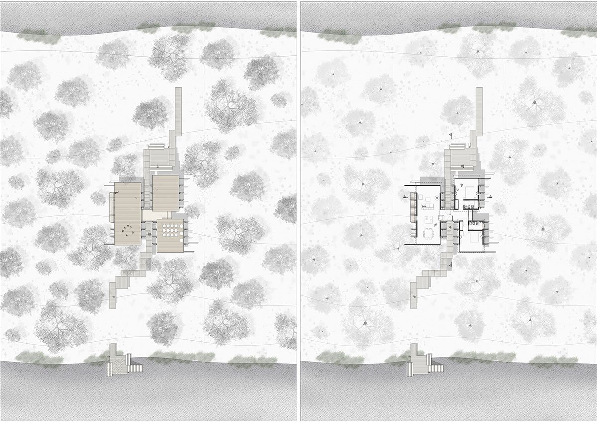 Dragonfly House | Berson Arquitectura