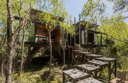 Dragonfly House | Berson Arquitectura