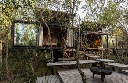 Dragonfly House | Berson Arquitectura