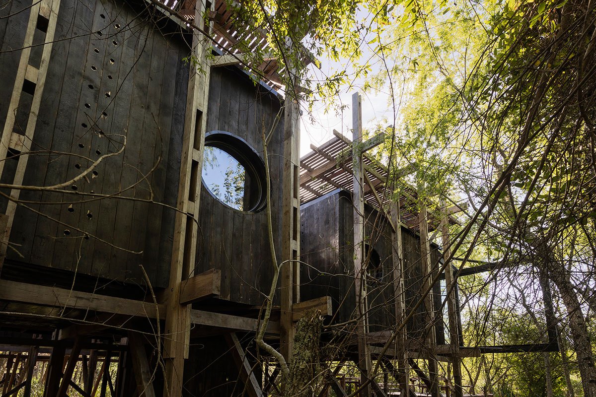 Dragonfly House | Berson Arquitectura