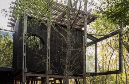 Dragonfly House | Berson Arquitectura