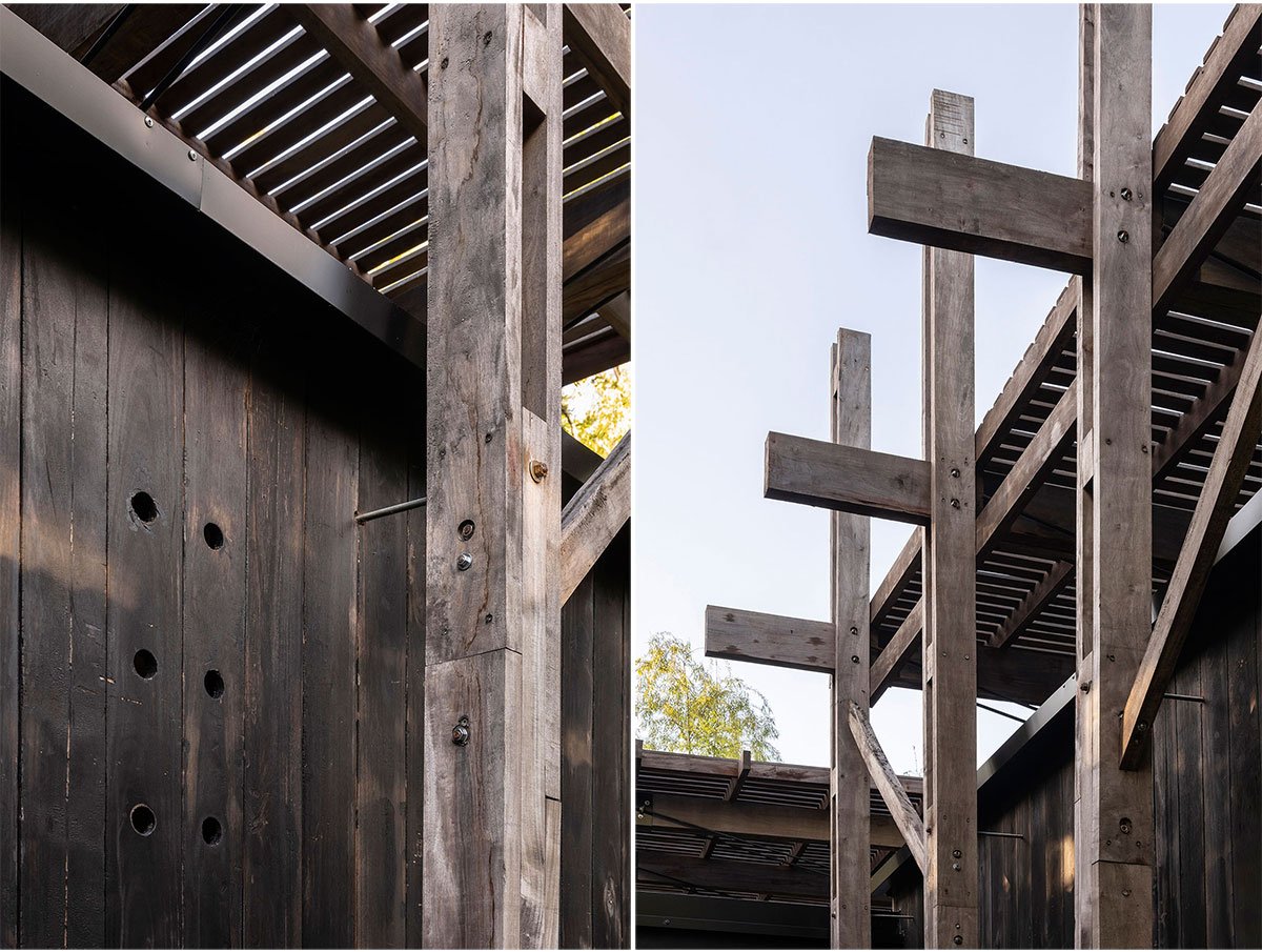 Dragonfly House | Berson Arquitectura