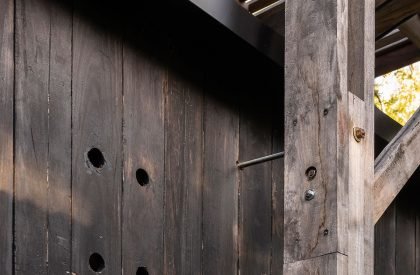 Dragonfly House | Berson Arquitectura