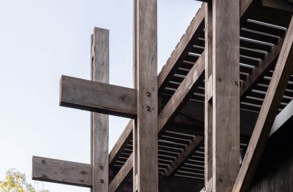 Dragonfly House | Berson Arquitectura