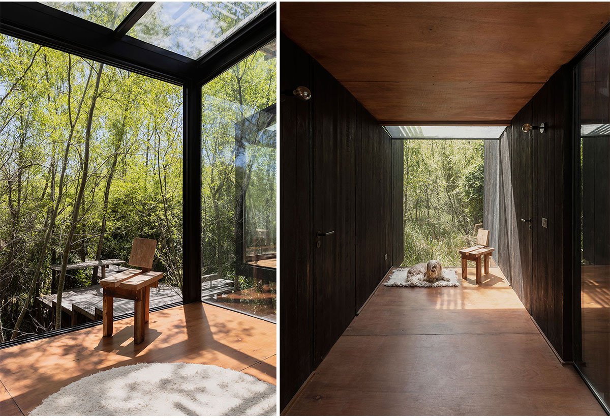 Dragonfly House | Berson Arquitectura