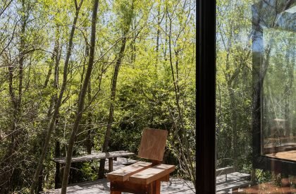 Dragonfly House | Berson Arquitectura