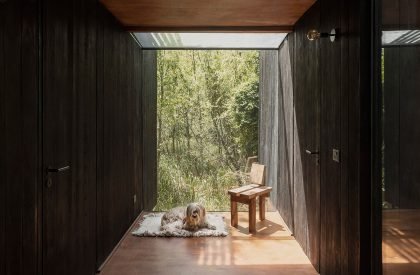 Dragonfly House | Berson Arquitectura
