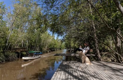 Dragonfly House | Berson Arquitectura