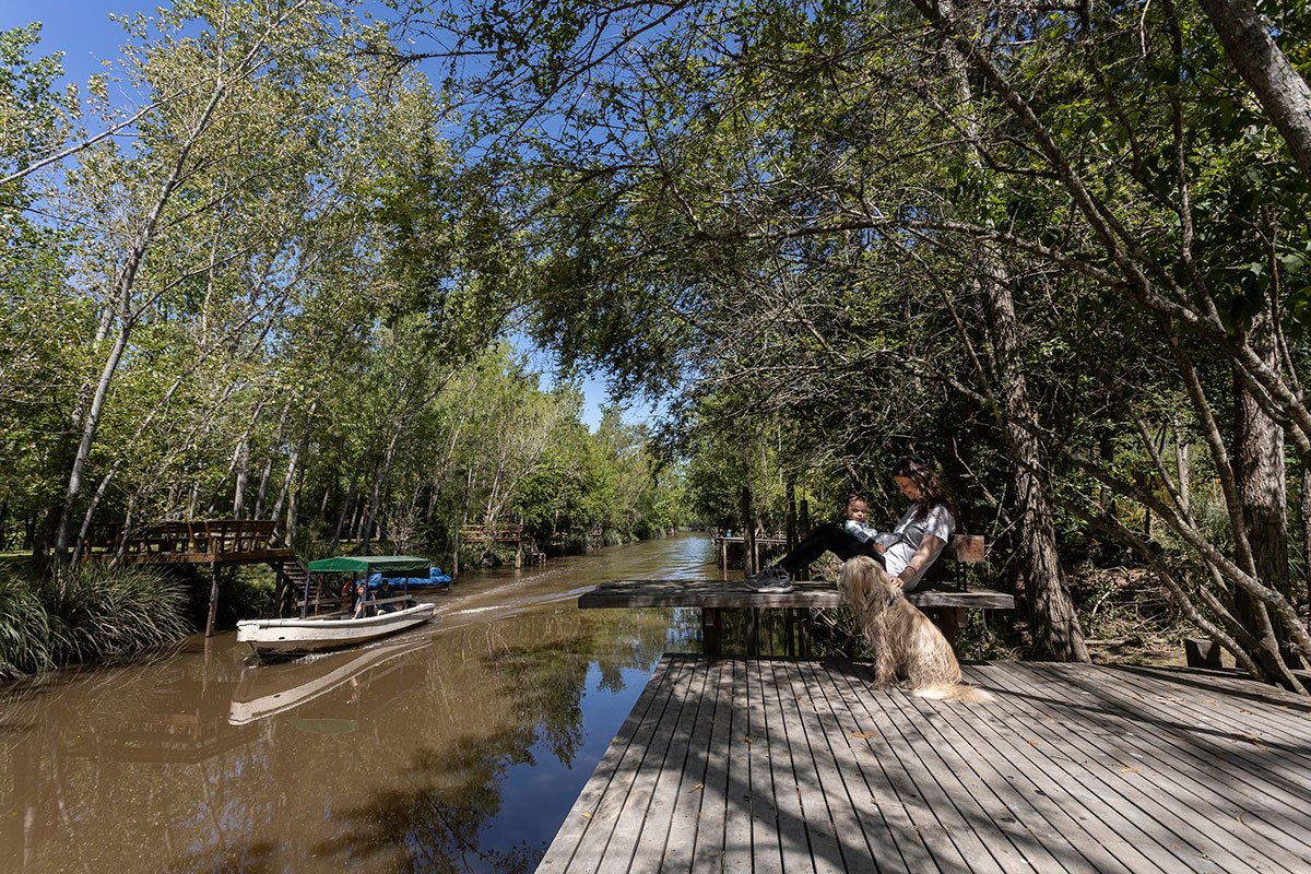 Dragonfly House | Berson Arquitectura