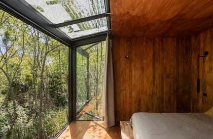 Dragonfly House | Berson Arquitectura