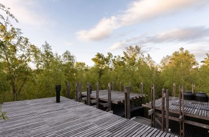 Dragonfly House | Berson Arquitectura