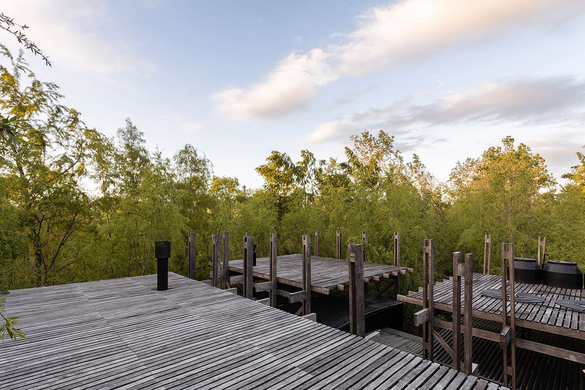 Dragonfly House | Berson Arquitectura