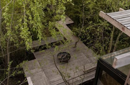 Dragonfly House | Berson Arquitectura