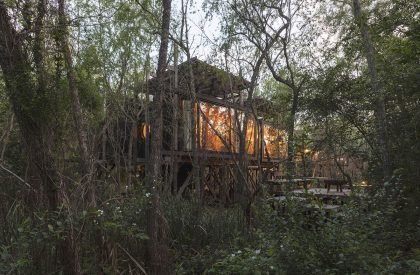 Dragonfly House | Berson Arquitectura