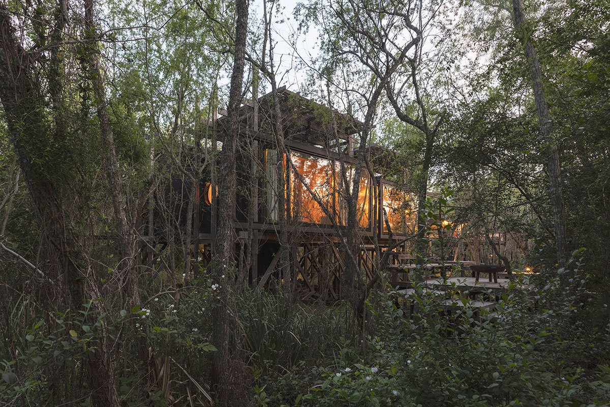 Dragonfly House | Berson Arquitectura