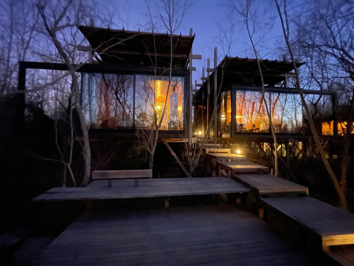 Dragonfly House | Berson Arquitectura