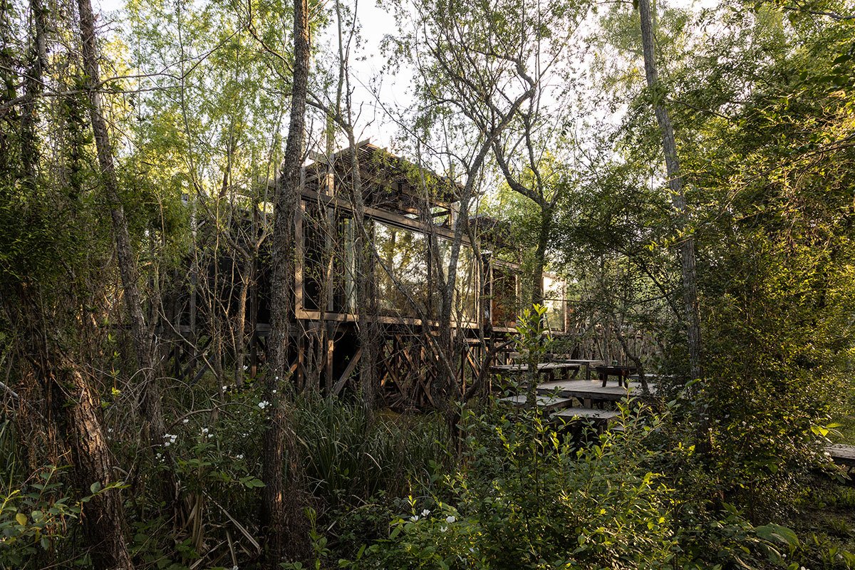 Dragonfly House | Berson Arquitectura