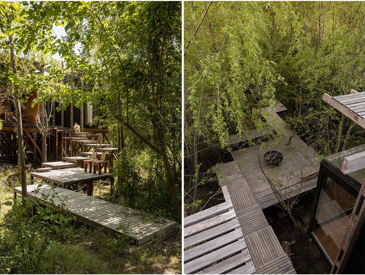 Dragonfly House | Berson Arquitectura