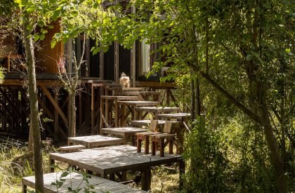 Dragonfly House | Berson Arquitectura