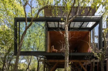 Dragonfly House | Berson Arquitectura