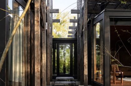 Dragonfly House | Berson Arquitectura