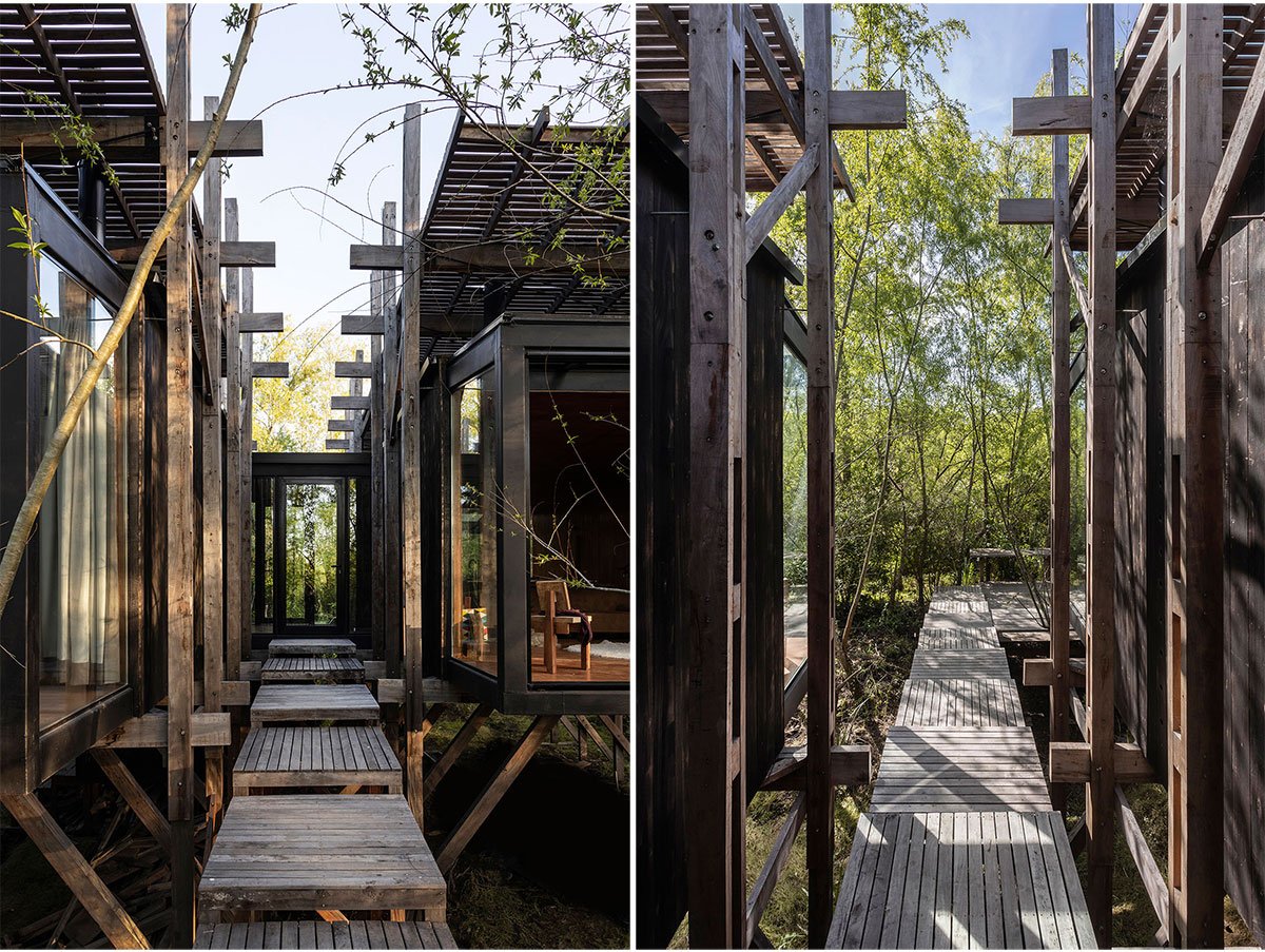 Dragonfly House | Berson Arquitectura