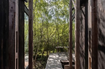 Dragonfly House | Berson Arquitectura