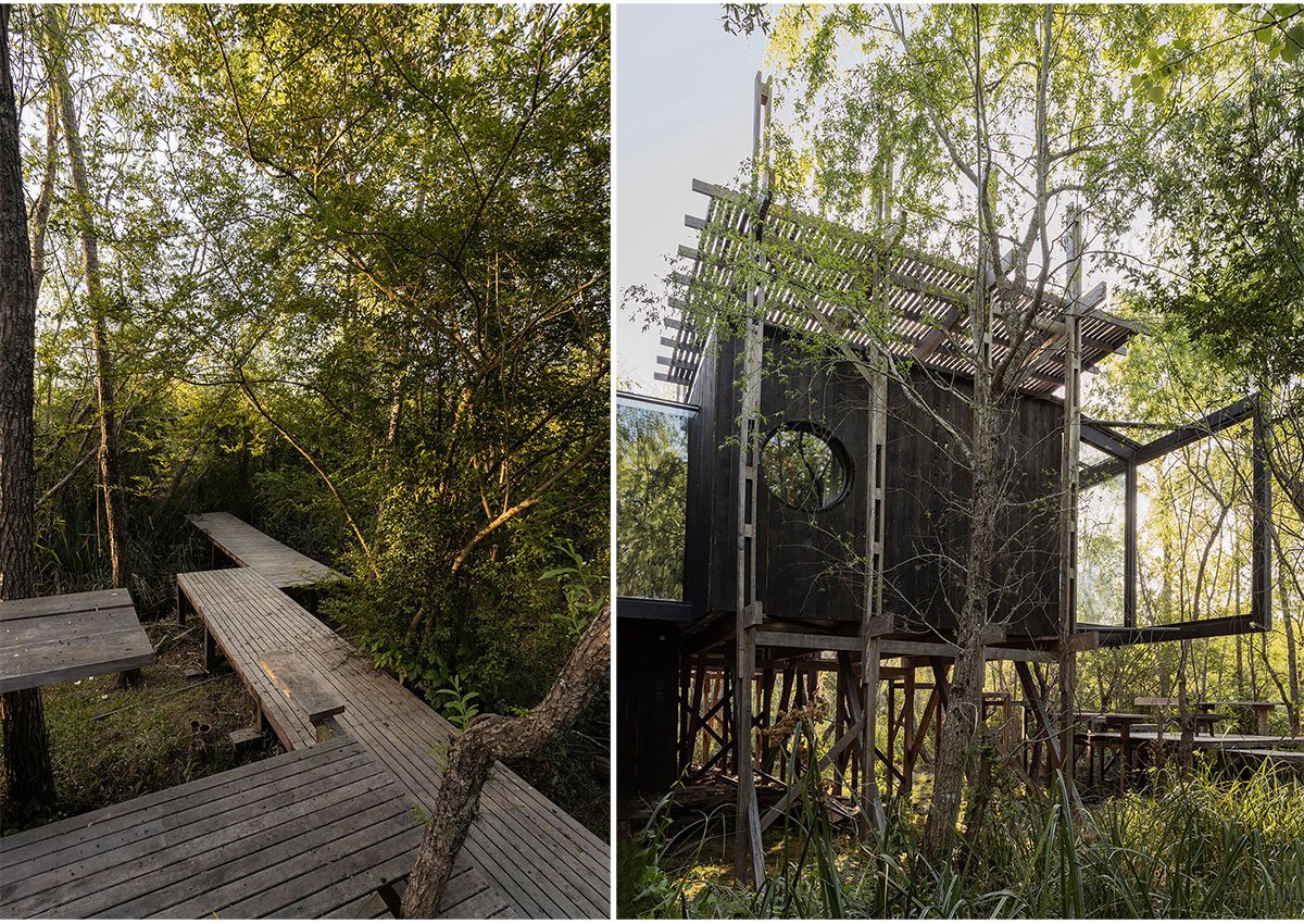 Dragonfly House | Berson Arquitectura