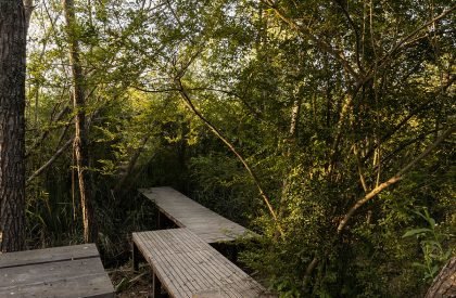 Dragonfly House | Berson Arquitectura