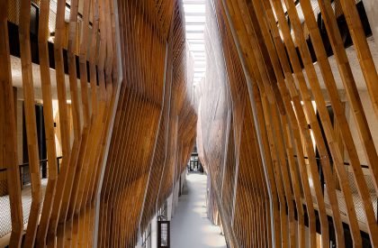 Jonas | Orange Architects