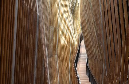 Jonas | Orange Architects