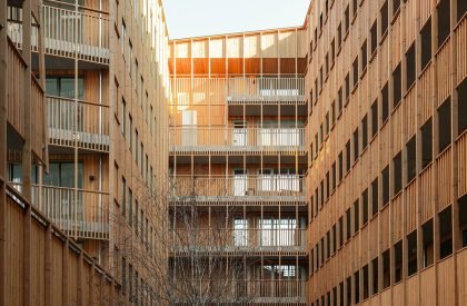 Jonas | Orange Architects