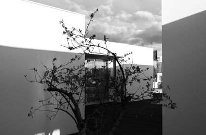 Laejo House | Bruno Dias Arquitectura