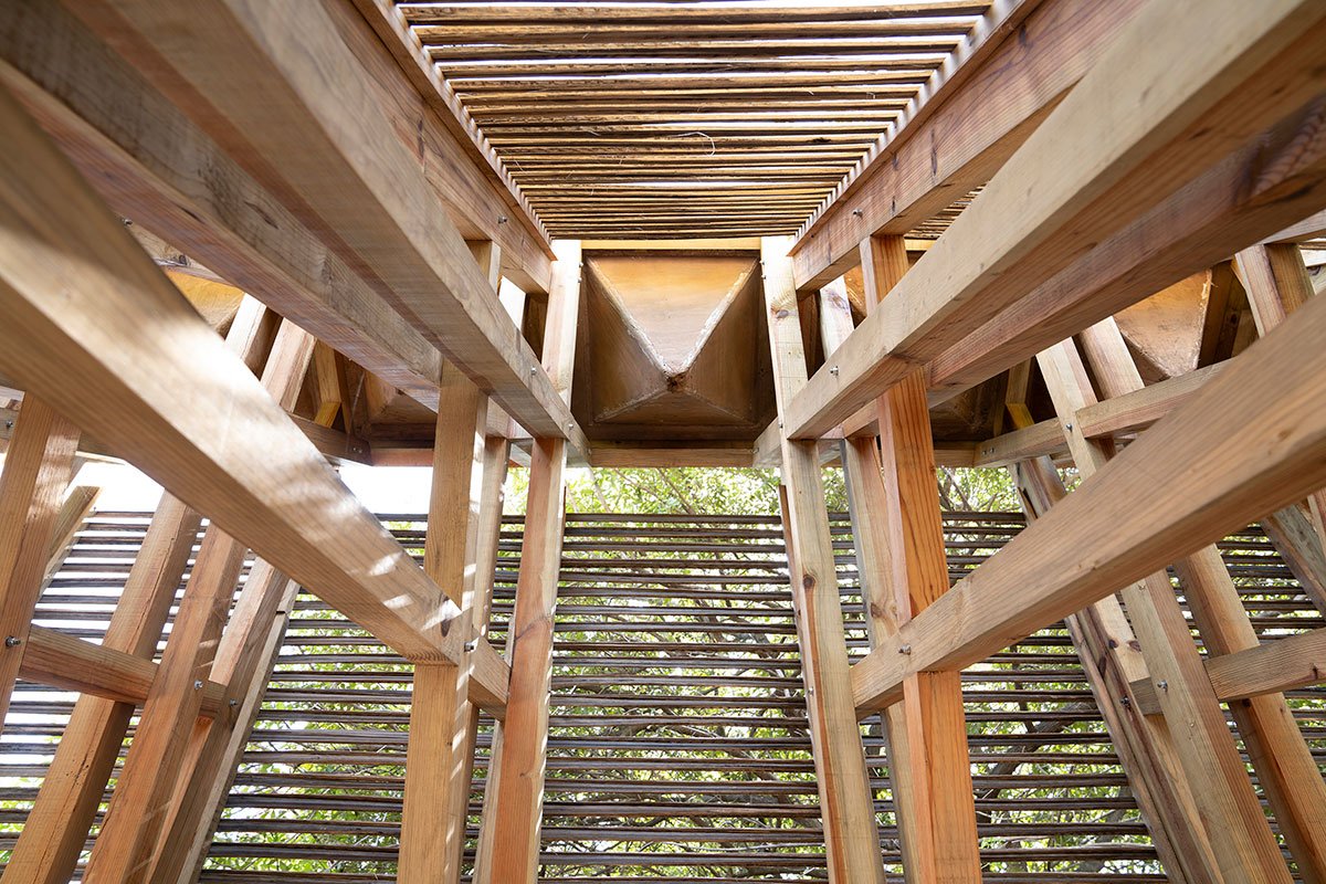 Orchid Pavilion | CCA Centro de Colaboración Arquitectónica