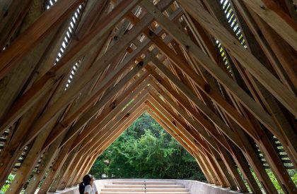 Orchid Pavilion | CCA Centro de Colaboración Arquitectónica