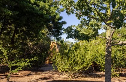 Orchid Pavilion | CCA Centro de Colaboración Arquitectónica
